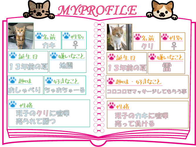 猫の日常 株式会社 関東ビルテック